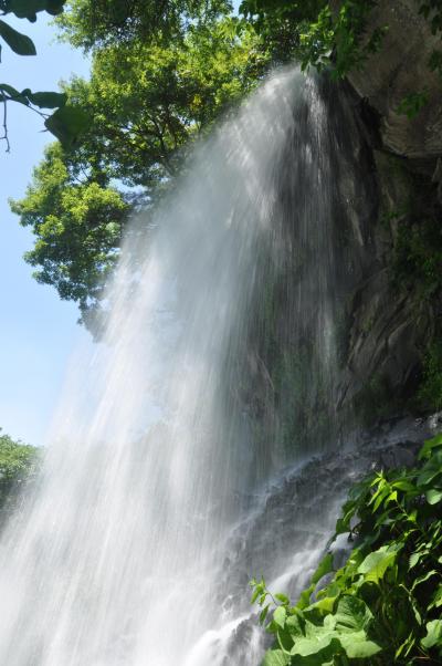 夏の信州　＜ 御射鹿池・苔の森・白駒の池・乙女滝 ＞