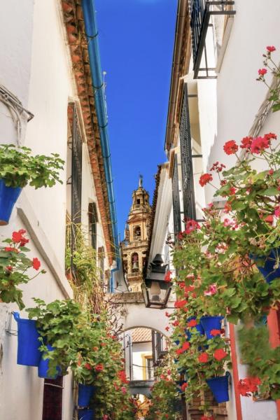 スペイン・アンダルシアをちょっとだけ☆週末のhibiscusさん、コルドバへshort trip!