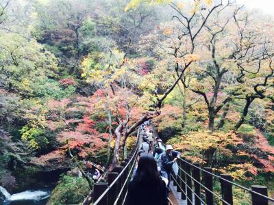 2014.11茨城の紅葉