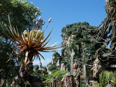 ディズニーワールド5回目の旅行2018年④/16~アニマルキングダム~