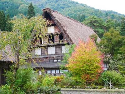 バスツアーで飛騨高山・白川郷・立山黒部アルペンルート　紅葉の1泊2日　1日目-2018.10-