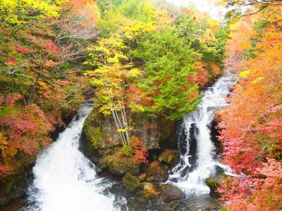 奥日光　紅葉ハイキング