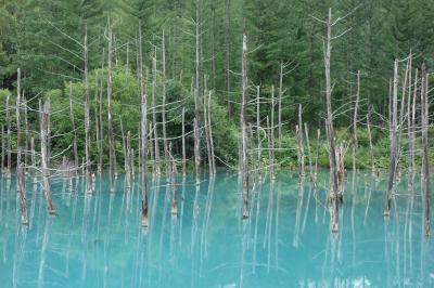 北海道・自然満喫の旅(後編)