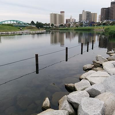 ぶらりハゼ釣り、旧中川へ。その後居酒屋ゆうこさんに行きました。