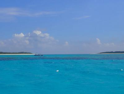 秋の沖縄本島と石垣島（３４）パナリ（新城島）竜宮の根でダイビング。夜は居酒屋瑚南でおいしく楽しく
