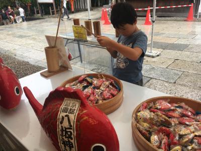 四男とママの二人旅：京都（実家）へ帰省の旅4日間