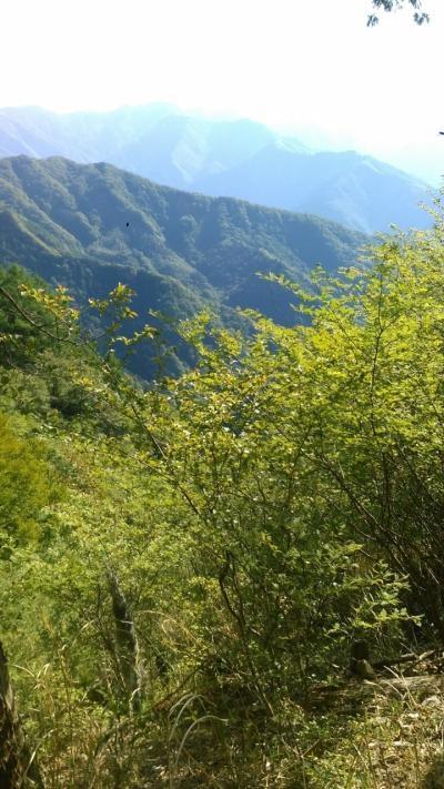 武甲山登ってきました。#5（最終回）～浦山口方面へ下山！～