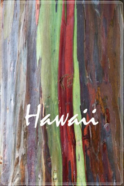 Hawaii③　ハワイビギナーの私たちが準備したこと＆気に入ったこと＆気になったこと