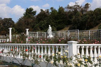 「秘密の花園」で秋バラを楽しむ＠生田緑地ばら苑