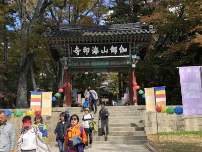 韓国の世界遺産No. 3 : 関釜フェリーで釜山へ渡り海印寺を訪れる