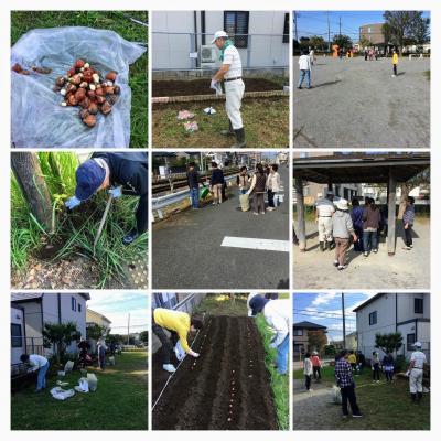 20181020AM08-10クリーンおけがわ清掃・花いっぱい運動実施しました