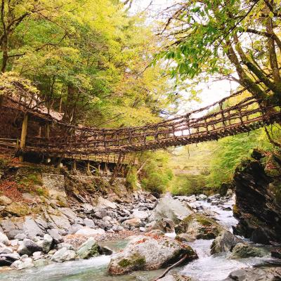 何もしない贅沢。桃源郷の茅葺民家ステイ！