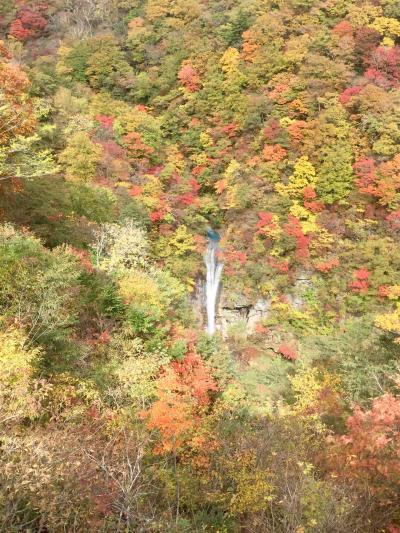 日光から那須への夫婦ドライブ旅行