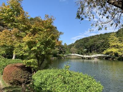 町田ダリア園と薬師池公園