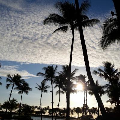 2018年☆2度目のハワイ 3泊5日 part1(1日目)