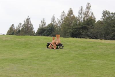 手軽にいける秋の花を見れる大宮花の丘公苑へ