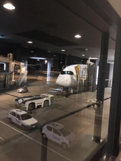 2018マレーシア航空で行くバリ島THE BALE・クアラルンプール8日間 1日目~2日目(移動~ホテル着)