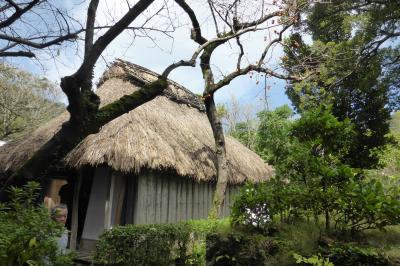 中部奄美会・奄美大島の旅に参加して（その４・最終回）