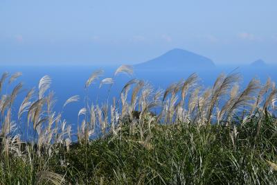 細野高原の広大なすすき野原 2018 ～海と黄金の輝きを満喫～（伊豆稲取）