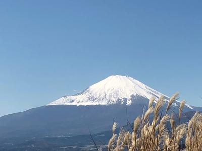 秋晴れ！富士山を見に大野山ハイキング！