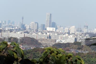 勝上嶽から見る横浜・みなとみらい