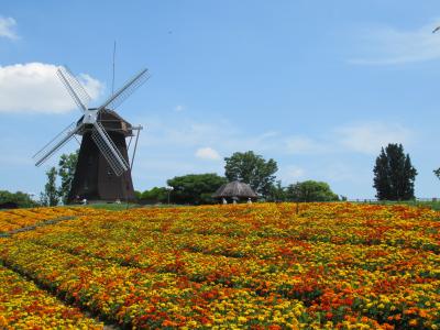 鶴見緑地公園