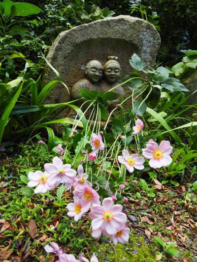 阿弥陀寺　皇女和宮さまの御位牌を祀る。徳川家ゆかりの地。ご住職の琵琶を是非お聞きしたかった・・・!