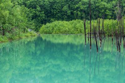 天気に泣かされた美瑛撮影旅行