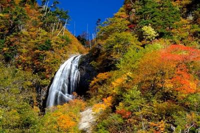 紅葉 の 「安の滝」  ( 秋田 )