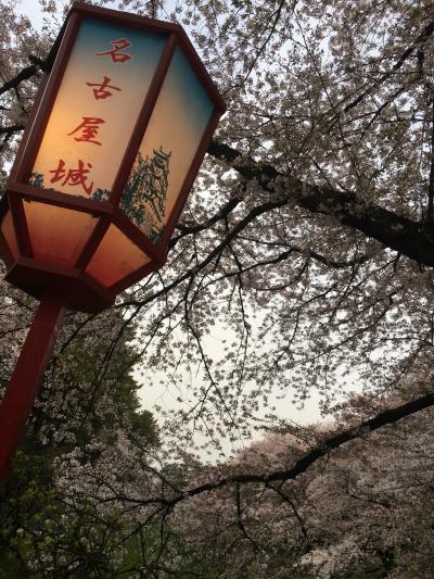 桜と名古屋城と日本酒