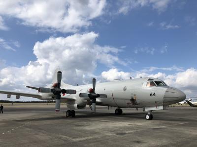 秋のお出かけ第2弾！今年も下総基地航空祭。