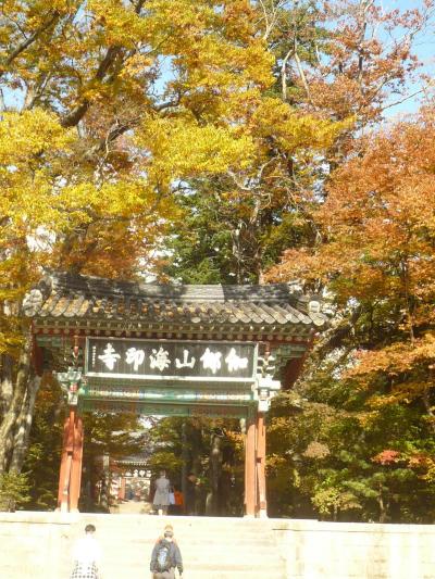 秋色の海印寺　－大邱郊外、市内の旅１－