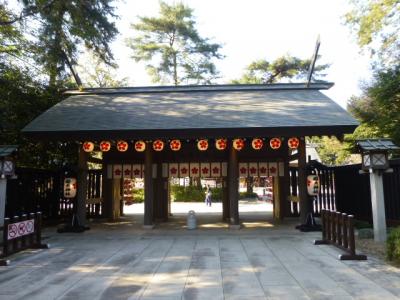櫻木神社で冬桜