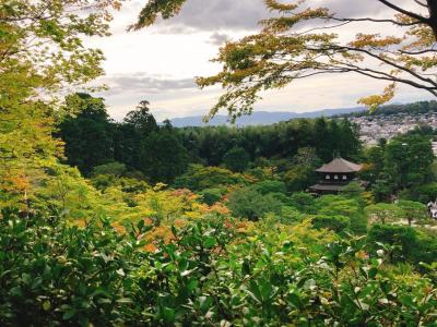 京都 ★ 清水寺と銀閣寺旅行