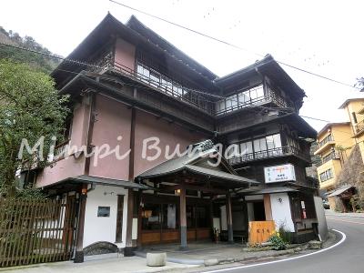 【箱根の有形文化財の温泉宿に泊まる旅】富士山と沼津丼～箱根神社～「環翠楼」宿泊記：前編