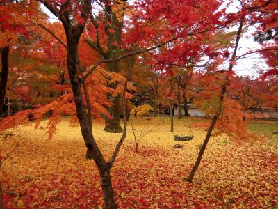 素晴らしい紅葉を見に!いざ京都、奈良へ、テクテク1人旅。永観堂、南禅寺、銀閣寺編④