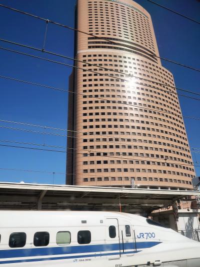 浜松へ　東海道新幹線　こだま635号13号車で　☆静岡交通/観光バスに乗り