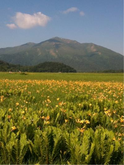 【2011年・夏】会社の同僚と尾瀬へ