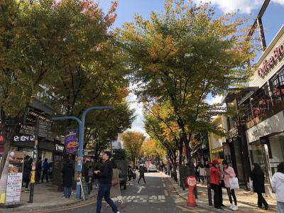 有休いらず！ 20時間滞在のソウルで一足早い紅葉を。