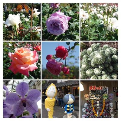 秋のお散歩　神代植物公園と深大寺