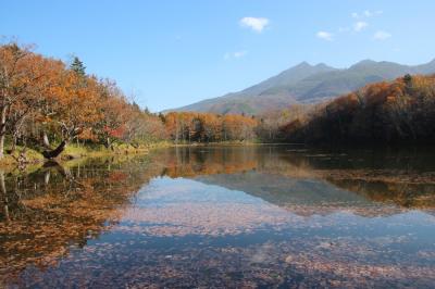 知床半島を満喫してきました。(^^)/