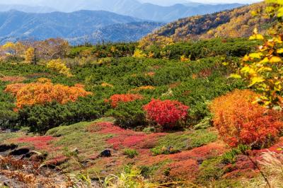 グッド・タイミング！紅葉の乗鞍・栂池自然園を巡る撮影行（１）乗鞍編