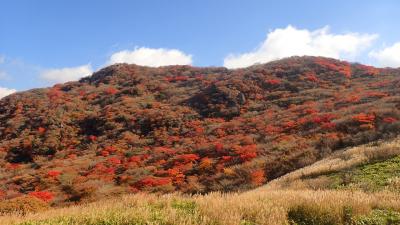 プロペラでぶぃ～ん（笑）＋レンタカー／おんせん県＆熊本で湯めぐり＆神社仏閣＆紅葉満喫４泊５日