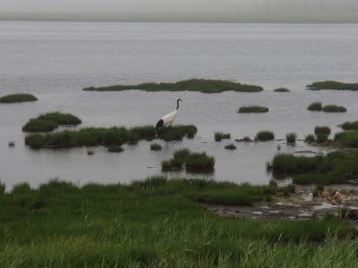 2018年　北海道道東　厚岸　帰路