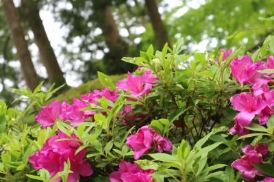 北陸２泊３日　２日目　千里浜なぎさドライブウェイ→永平寺→金沢