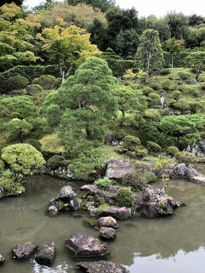 大人の初登山・天覧山