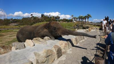 0歳5歳子供連れ白浜旅