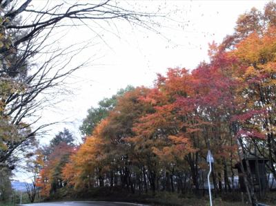 草津(群馬県草津町)の紅葉を見に行ってきました。