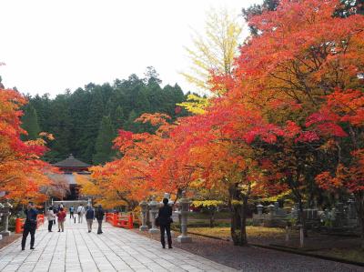 電車で高野山１、奥之院