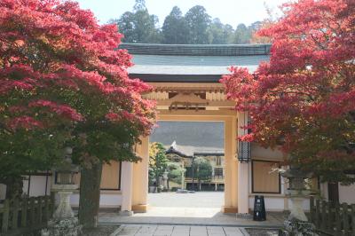 旅するイルカ♪　野迫川雲海と高野山紅葉へ　卵庵はしたまも行ったよ